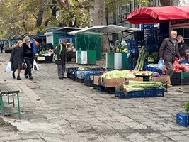 В момента около сергиите на ул. "Младежка" в Пловдив е неугледно, а много от живеещите в квартала пазаруват там ежедневно.