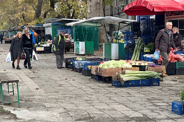 В момента около сергиите на ул. "Младежка" в Пловдив е неугледно, а много от живеещите в квартала пазаруват там ежедневно.