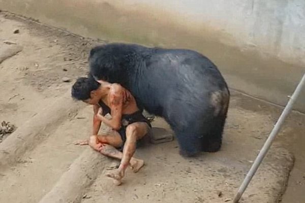 Мечок яде жив човек в зоопарк