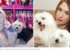 Шотландка харчи хиляди паунди за дрехи на кучетата си