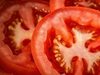 Русия не планира да премахне ембаргото върху турските домати