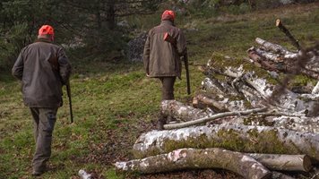 Пак трагедия край Кюстендил! Ловец уби колега по  време на лов