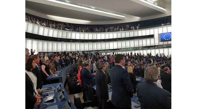 Евродепутатите на снимката в дъното вляво обърнаха гръб на Европа СНИМКА: Кристина Кръстева