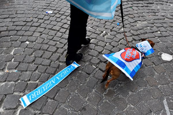 Дори кучетата в Неапол бяха подготвени за празнуване в неделя.