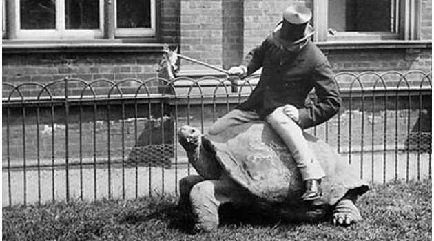 Уолтър Ротшилд бил срамежлив, но това не му пречело да позира с гигантски костенурки.