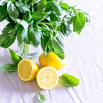 Как да пием лимона, за да лекува наистина