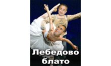 Лебедово блато