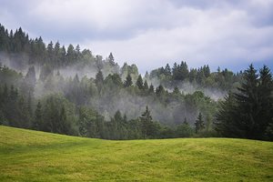 На пикник в гората, без да палим огън, иначе  глоба до 500 лв.