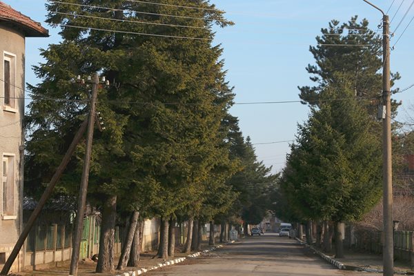 Село Габровница, община Монтана