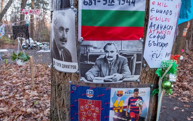 Различни снимки са облепени по дърветата
СНИМКА: Забелязано в София