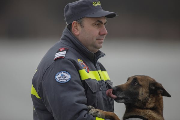 Много от кучетата спасители в организацията са били спасени на свой ред
Снимка: Ройтерс