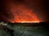 Около 6000 дка смесена гора е засегната от пожара в Сакар планина