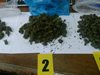 Задържаха наркодилъри в Малко Търново с над 300 гр. марихуана