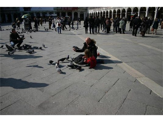 Внимание! Храненето на гълъби във Венеция се наказва с 500 евро глоба.