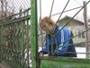 Сестрите в Свищов не излизат от дома си,
майка им носи молби за социална помощ