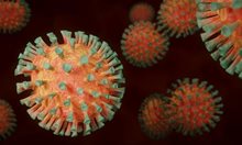 Вирусолог: 2/3 от населението трябва да придобият имунитет, за да се справим с COVID-19