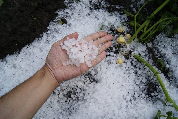 В Родопите паднаха обилни дъждове с градушка