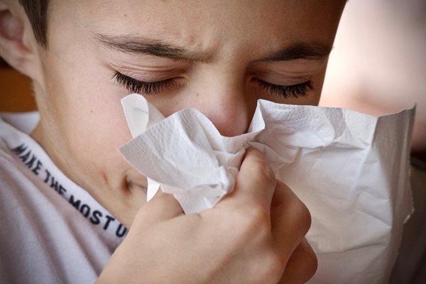 Доказани са първите за сезона грипни вируси A(H1N1)