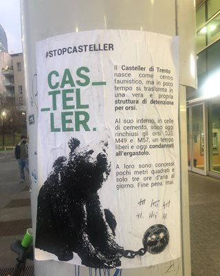 Защитници на животните зоват с плакат да се освободят затворените мечки в центъра Кастелер до Тренто.
СНИМКА: ИНСТАГРАМ