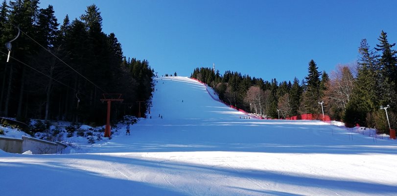 Младият скиор е открит извън пистите на ски зона "Мечи чал" край дърво.
Снимка: Архив