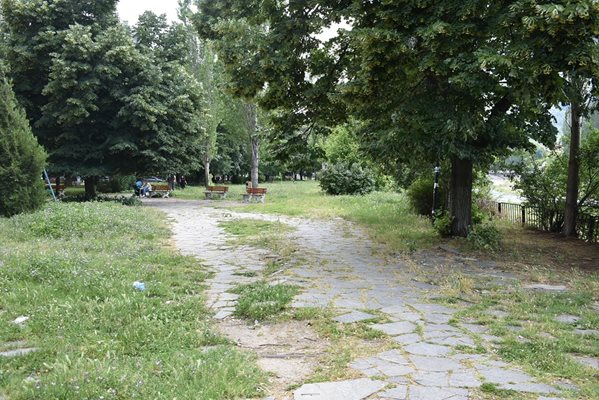 Зелените площи в Асеновград вече се третират срещу кърлежи
