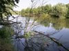 Осем водолази търсят изчезналия Петър в река Марица (Снимки)
