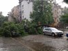 Паднали дървета, отнесени покриви и конструкции след бурята в Пловдив (видео)