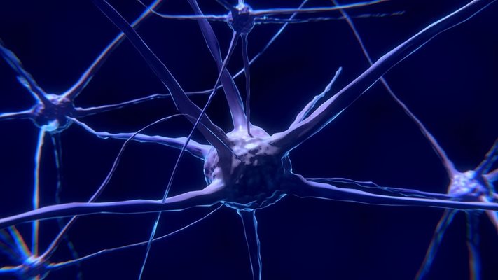 Учени разработиха тест, който успешно улавя първите сигнали на болестта на двигателния неврон
Снимка: Pixabay