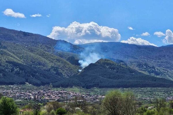 Пожар в борова гора край Симитли. СНИМКИ: Лили Клисурова