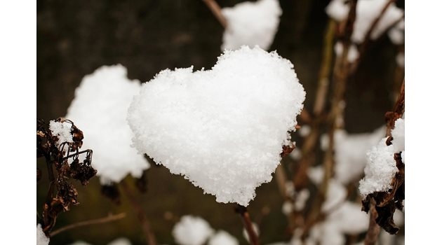Сърце от сняг
Снимка: Пиксбей