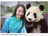 Бебе панда позира за серия от селфита
с посетителка на резерват в Китай (Снимки)