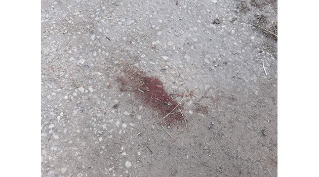 Кърваво петно по асфалта след побоя над Димов
