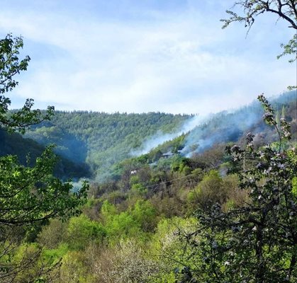 Горски служители гасят голям горски пожар в Кюстендилско. СНИМКА: ЮЗДП
