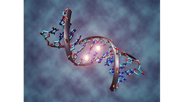 ДНК: Учени доказват наличието на естествени защитни изменения в гените, предотвратяващи развитието на тежки болести.