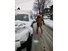 Читателите снимат зимата: На път, въпреки снега, подготвен за всичко... с луканка