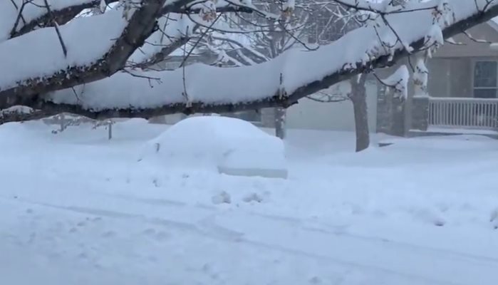 Снежна буря връхлетя САЩ, над 4000 полета отменени (Видео)