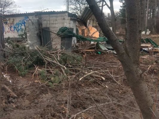 Столична община е констатирала изсичането на около 20 дървета на терена на къпалнята „Мария Луиза“ в Борисовата градина.
