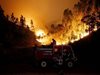 Стотици туристи бяха евакуирани от Сицилия заради горски пожар