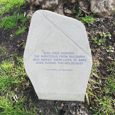 На плочата е изписано на английски: “Това дърво е в почит към праведните от България, които рискуваха жэивота си, за да спасят евреите по време на холокоста.”