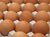 Откриха заразени яйца и в Дания