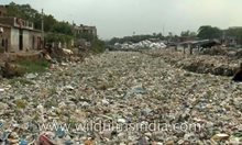 Река от боклук в Делхи влиза в океана, а ние трябва да налеем милиари, за да спрем тази ужасяваща свинщина