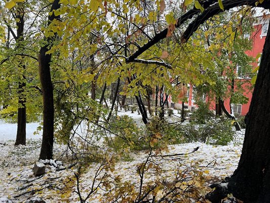 Зад Търговската гимназия положението също не е добро.