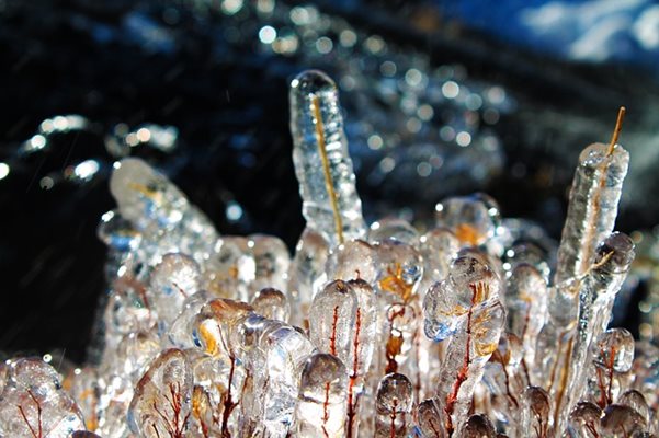 При "обикновения лед", водата се охлажда при нормална температура и молекулите й образуват твърди кристали с шестоъгълна форма  СНИМКА: Pixabay