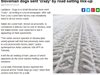 Кучетата в словенско градче се побъркаха - поръсили пътищата със сол с прошуто