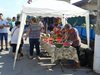 Два тона дини изядоха на фестивал във великотърновско