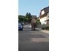 Слон избяга от зоологическа градина в Германия (Видео)

