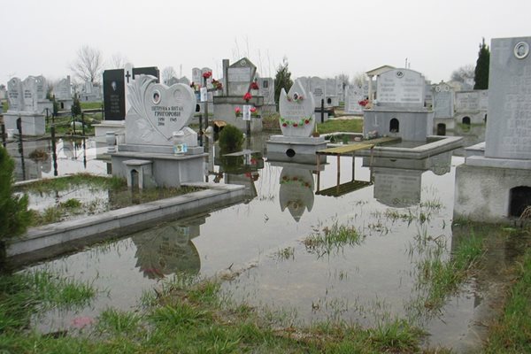 Гробищният парк “Алимана” във Видин е  залят  от подпочвени води.
