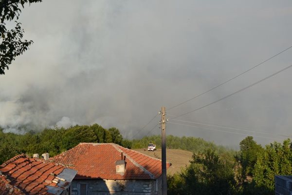 Пожарът в боровата гора край кирковското село Старово вече е локализиран.