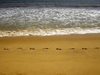 Мобилни екипи на две министерства ще следят за чистотата на морето през лятото