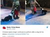 Куче захапа оперен певец на сцената в Китай (Видео)